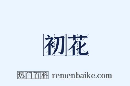 初花是什么意思的图片
